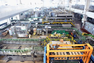 高清 探访青岛啤酒厂 揭秘青啤经典1903生产过程