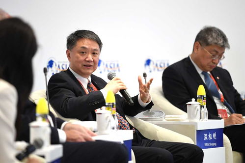 组图 倾听博鳌声音